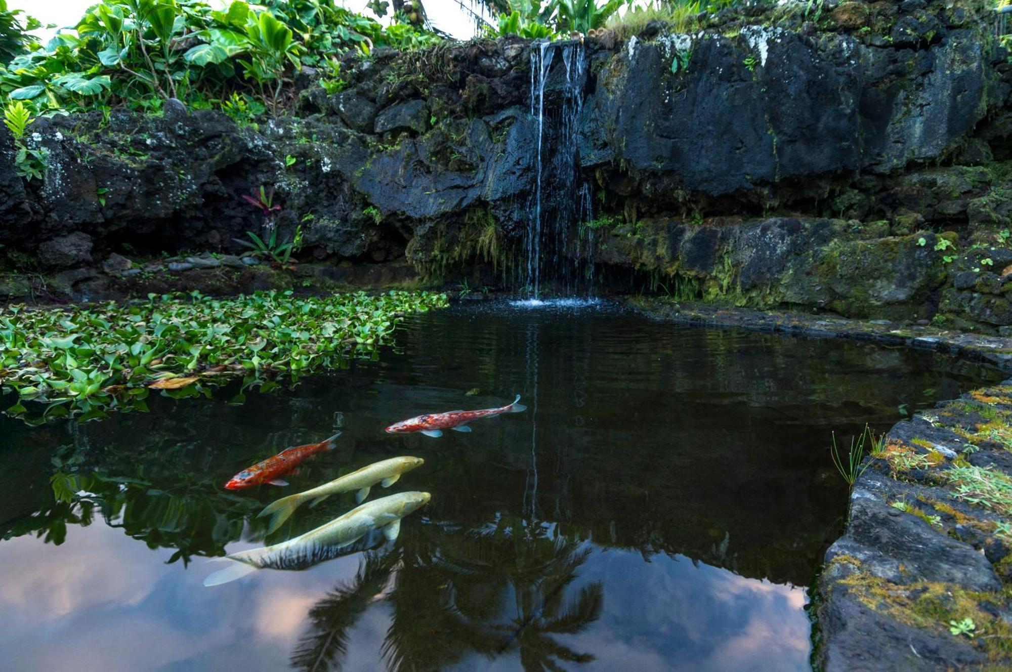 Hana Kai Maui - #106 Kuakahi Partial Oceanview Studio المظهر الخارجي الصورة